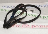 PASEK 1200 J5 HUTCHIN MAEL
